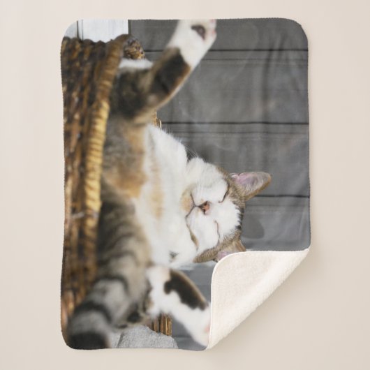 Kutest Baby Animals | Kat in bed Sherpa Deken (Voorkant)