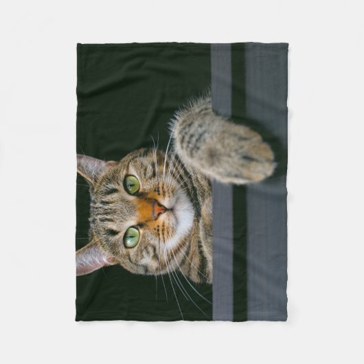 Kutest Baby Animals | Kat met grijze tabletten Fleece Deken (Voorkant)