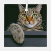 Kutest Baby Animals | Kat met grijze tabletten Glas Ornament (Achterkant)