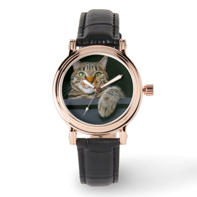 Kutest Baby Animals | Kat met grijze tabletten Horloge (Voorkant)