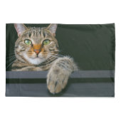 Kutest Baby Animals | Kat met grijze tabletten Kussensloop (Achterkant)