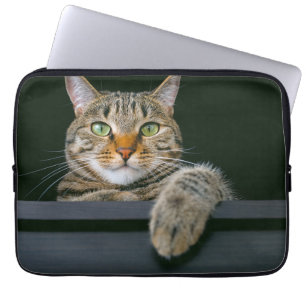 Kutest Baby Animals   Kat met grijze tabletten Laptop Sleeve