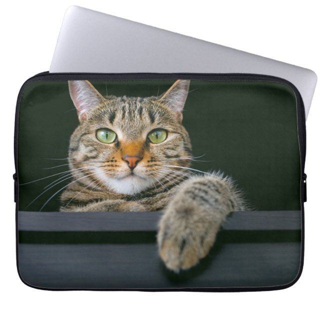 Kutest Baby Animals | Kat met grijze tabletten Laptop Sleeve (Voorkant)