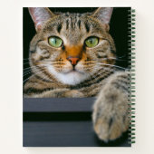 Kutest Baby Animals | Kat met grijze tabletten Notitieboek (Achterkant)