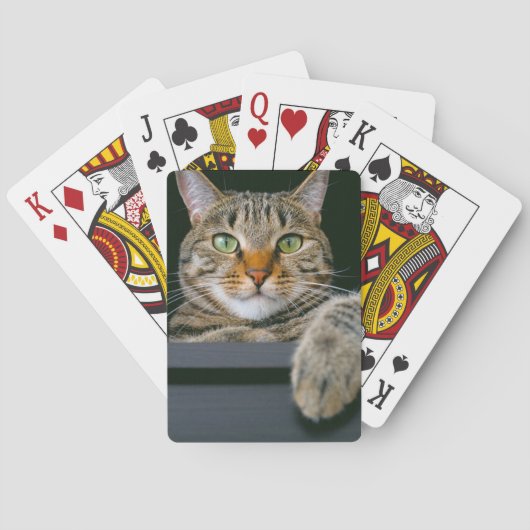 Kutest Baby Animals | Kat met grijze tabletten Pokerkaarten (Achterkant)