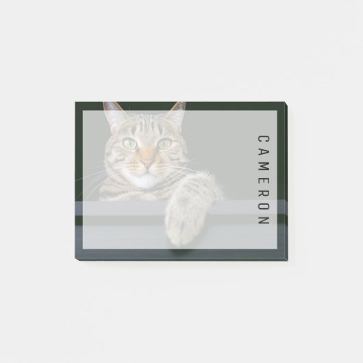 Kutest Baby Animals | Kat met grijze tabletten Post-it® Notes (Voorkant)