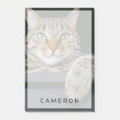 Kutest Baby Animals | Kat met grijze tabletten Post-it® Notes (Voorkant)