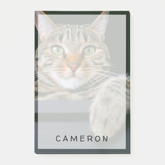 Kutest Baby Animals | Kat met grijze tabletten Post-it® Notes (Voorkant)