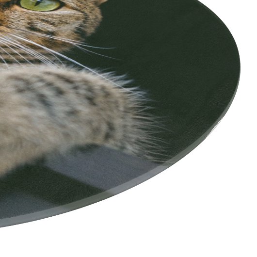 Kutest Baby Animals | Kat met grijze tabletten Snijplank (Hoek)