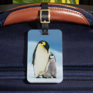 Kutest Baby Animals keizer Penguin Chick Bagagelabel