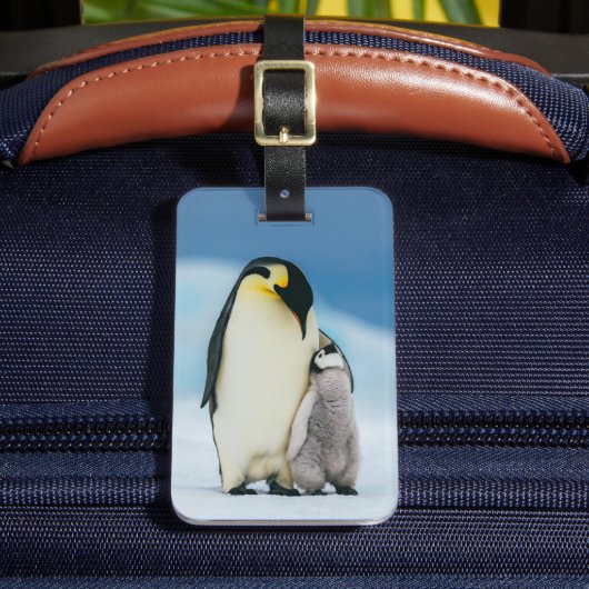 Kutest Baby Animals | keizer Penguin Chick Bagagelabel (Voorkant Insitu 2)