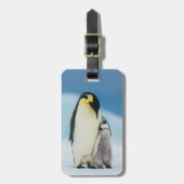 Kutest Baby Animals | keizer Penguin Chick Bagagelabel (Voorkant verticaal)