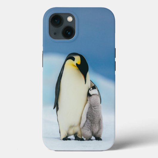 Kutest Baby Animals | keizer Penguin Chick Case-Mate iPhone Case (Achterkant)