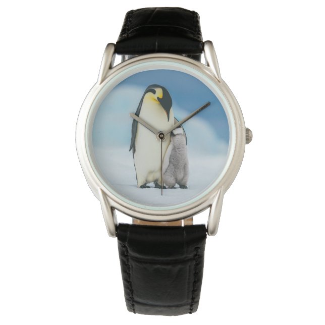 Kutest Baby Animals | keizer Penguin Chick Horloge (Voorkant)