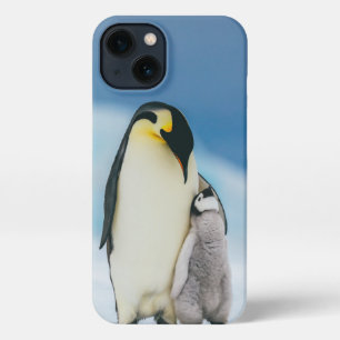 Kutest Baby Animals   keizer Penguin Chick iPhone 13 Hoesje