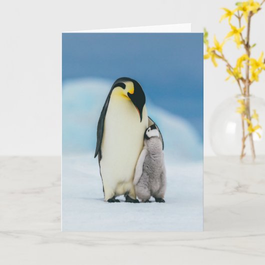 Kutest Baby Animals | keizer Penguin Chick Kaart (Gele Bloem)