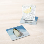 Kutest Baby Animals | keizer Penguin Chick Kartonnen Onderzetters (Insitu)