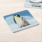 Kutest Baby Animals | keizer Penguin Chick Kartonnen Onderzetters (Schuin)