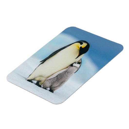 Kutest Baby Animals | keizer Penguin Chick Magneet (Linkerzijde)