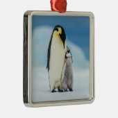 Kutest Baby Animals | keizer Penguin Chick Metalen Ornament (Rechts)
