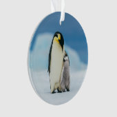 Kutest Baby Animals | keizer Penguin Chick Ornament (voorkant)