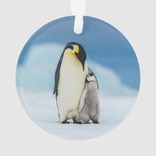 Kutest Baby Animals | keizer Penguin Chick Ornament (achterkant)