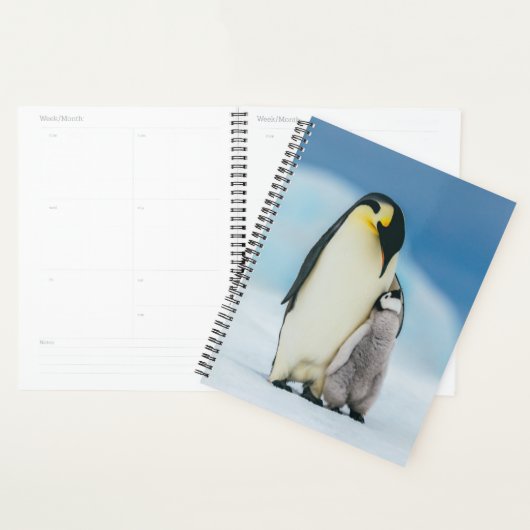 Kutest Baby Animals | keizer Penguin Chick Planner (Display)