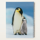 Kutest Baby Animals | keizer Penguin Chick Planner (Achterkant)