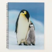 Kutest Baby Animals | keizer Penguin Chick Planner (Voorkant)