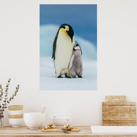 Kutest Baby Animals | keizer Penguin Chick Poster (Keuken)