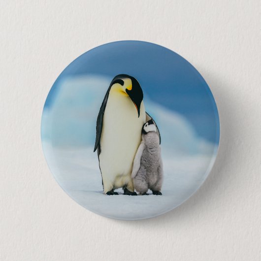 Kutest Baby Animals | keizer Penguin Chick Ronde Button 5,7 Cm (Voorkant)