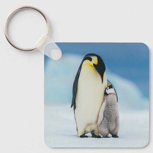 Kutest Baby Animals | keizer Penguin Chick Sleutelhanger (Voorkant)