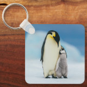 Kutest Baby Animals | keizer Penguin Chick Sleutelhanger (Voorkant)