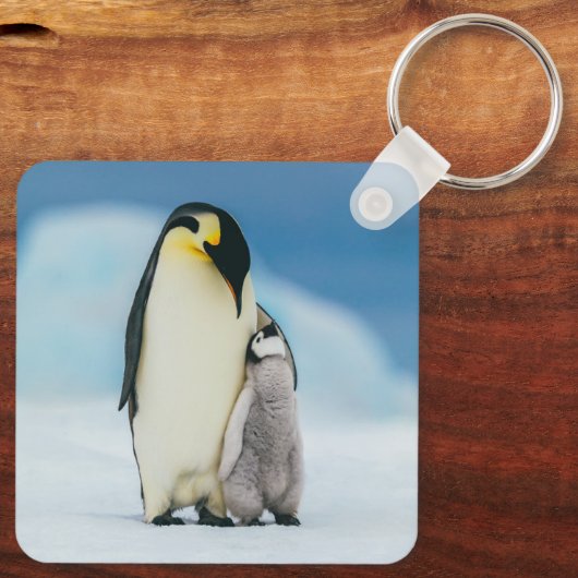 Kutest Baby Animals | keizer Penguin Chick Sleutelhanger (Achterkant)