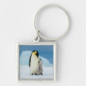 Kutest Baby Animals | keizer Penguin Chick Sleutelhanger (Voorkant)