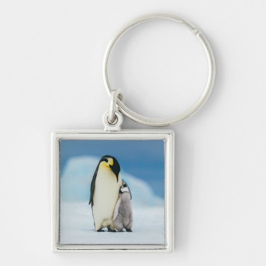 Kutest Baby Animals | keizer Penguin Chick Sleutelhanger (Voorkant)