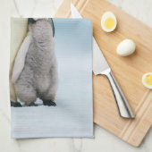 Kutest Baby Animals | keizer Penguin Chick Theedoek (Quarter Fold)