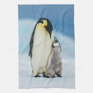 Kutest Baby Animals   keizer Penguin Chick Theedoek