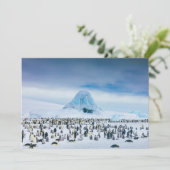 Kutest Baby Animals | keizer Penguin Colony Bedankkaart (Staand voorkant)