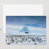 Kutest Baby Animals | keizer Penguin Colony Bedankkaart (Voorkant / Achterkant)