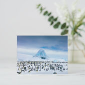 Kutest Baby Animals | keizer Penguin Colony Briefkaart (Staand voorkant)