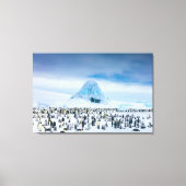 Kutest Baby Animals | keizer Penguin Colony Canvas Afdruk (Voorkant)