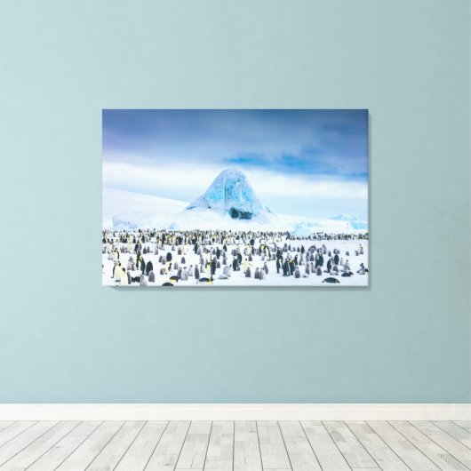 Kutest Baby Animals | keizer Penguin Colony Canvas Afdruk (Insitu (Houten vloer))