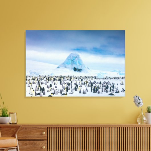 Kutest Baby Animals | keizer Penguin Colony Canvas Afdruk (Insitu (Woonkamer))