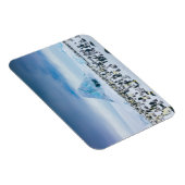 Kutest Baby Animals | keizer Penguin Colony Magneet (Rechterzijde)