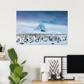 Kutest Baby Animals | keizer Penguin Colony Poster (Thuiskantoor)