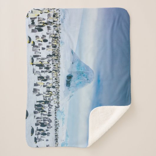 Kutest Baby Animals | keizer Penguin Colony Sherpa Deken (Voorkant)