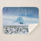 Kutest Baby Animals | keizer Penguin Colony Sherpa Deken (Voorkant (horizontaal))