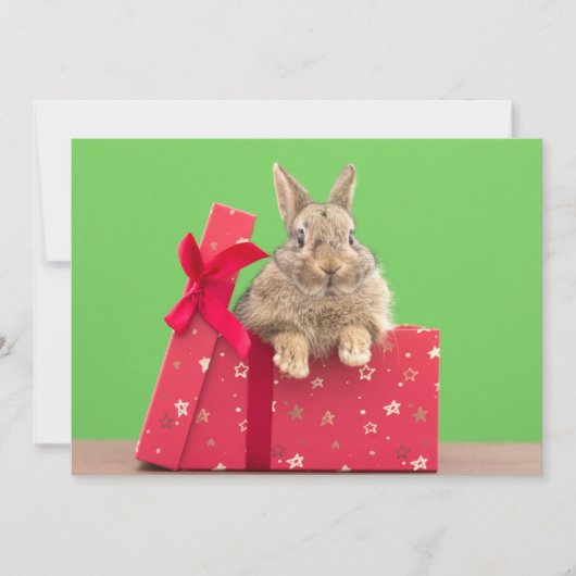 Kutest Baby Animals | Kerstfeestdag Bunny Bedankkaart (Voorkant)
