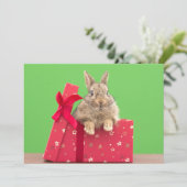 Kutest Baby Animals | Kerstfeestdag Bunny Bedankkaart (Staand voorkant)